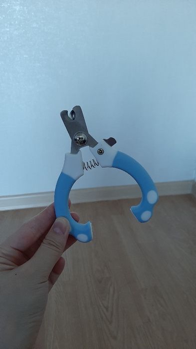 Лоток + 6 товаров для кошек