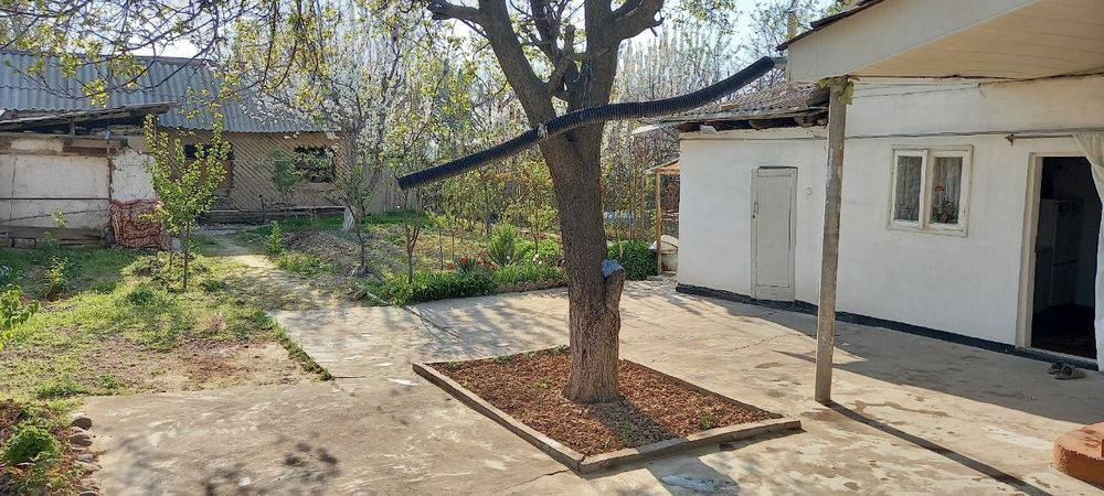 Продаётся дом участок , Хасанбай , за заводом Зенит Юнусабад