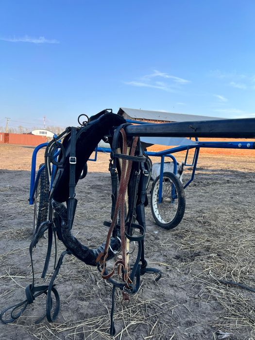 Продам рысистую сбрую качалку