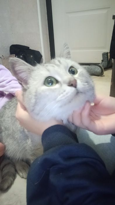 Бросили и переехали