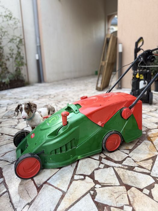 Masina de tuns Brill Evloution 36 Em