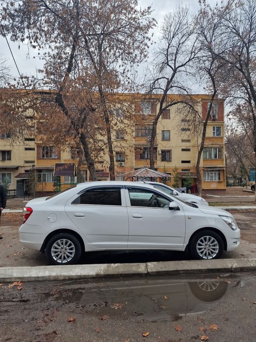 Cobalt 4-pozitsiya/2020