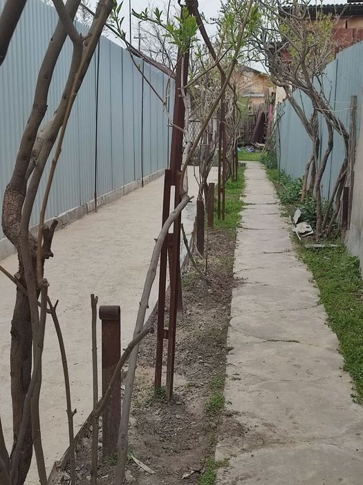 Участок Земля Мухтар Ащрофий между Рисовый и слонима