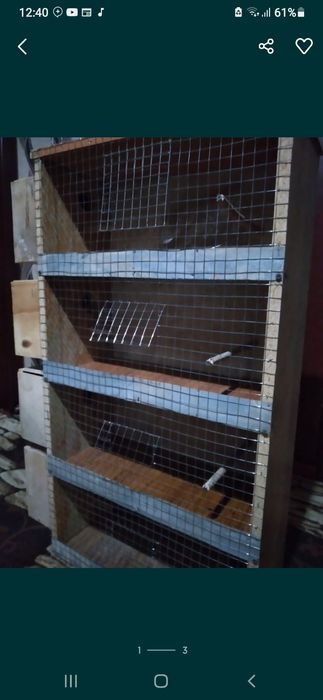 К,ушлар учун ин 4 к,аватли