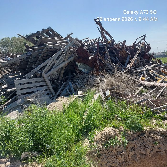 Дрова самовывоз бесплатно