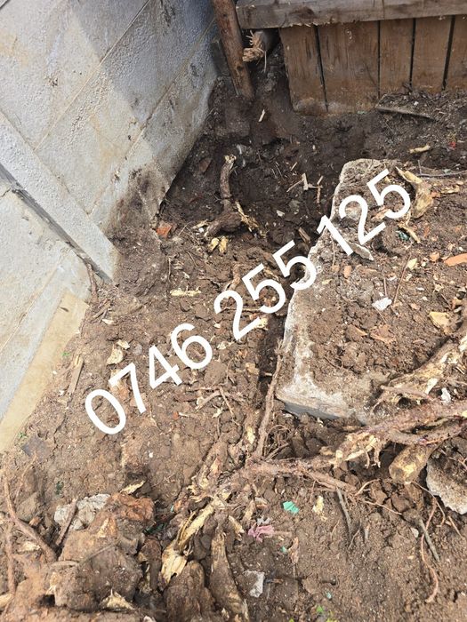 Servicii mini excavator sapaturi santuri fundații fose bransament  apa canal gaz curent fibra optica  radacini copaci nivelare gard București-Ilfov