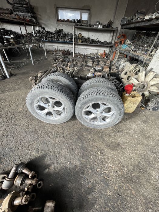 Дсика. С балонм срочно срочно