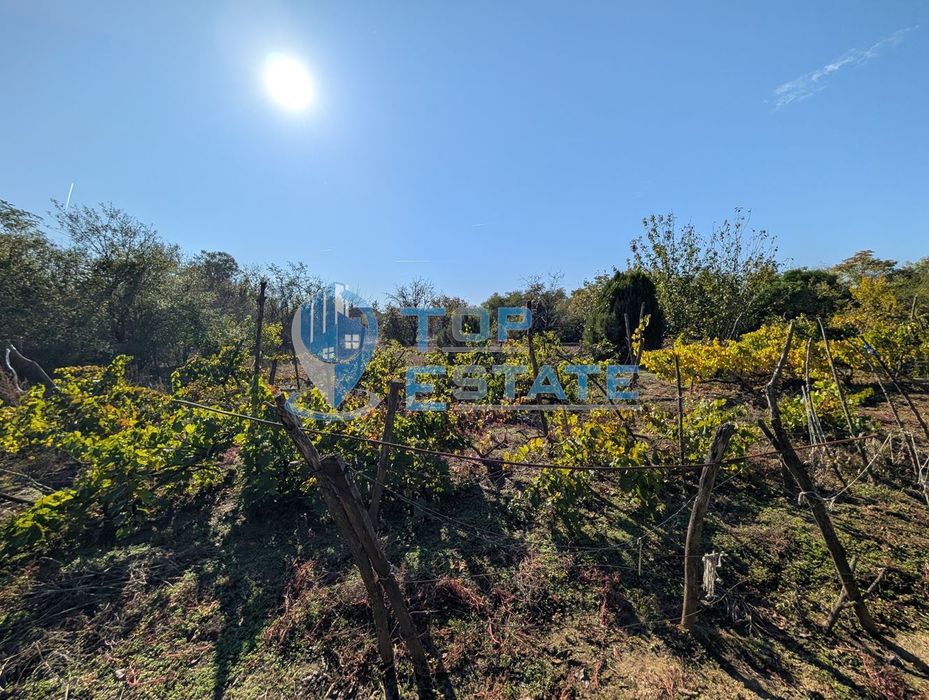 Продава се Къща в с. Сломер, Област Велико Търново - 120 кв.м за 41 €/кв.м - Снимка #10