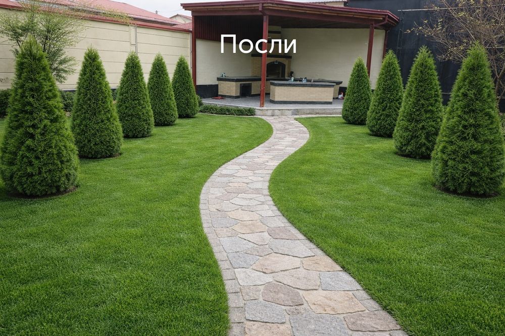 Газон + ланшафт дизайн + микроклимат+ палив  хизматларимиз мавжуд