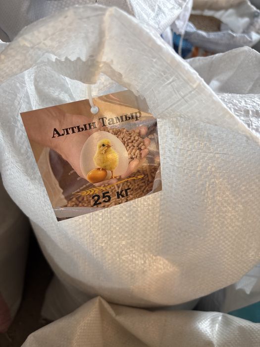 корм для кур несушек