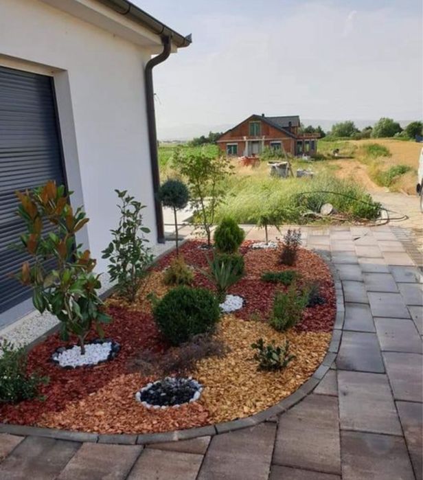 Mesteacan / Leylandii / Platan