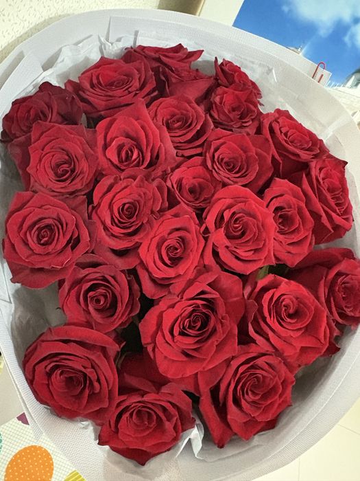 Продам 25-шт розу