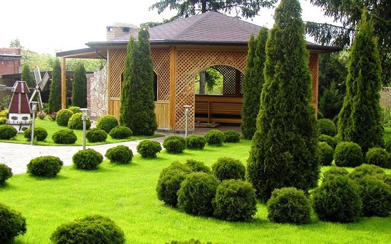 Archa kesish Арча кесиш Арча дорилаш хизмати