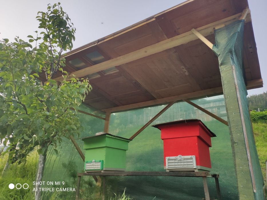 Пчелни кошери 9рамкови