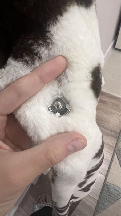 Эко шуба (Fashion Nova)