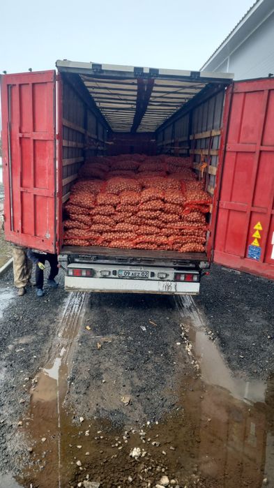 Продам семена 1я репродукция