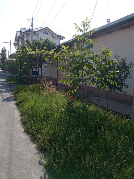 Полевойда Халкаро аэропортга якин ховли сотилади Саватчи