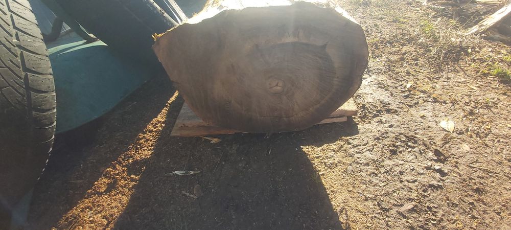 Nuc truchi lemn superb.decorjit