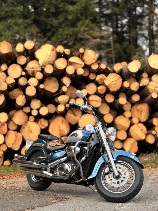 Suzuki VL 800 Intruder