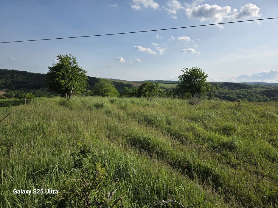 Teren extravilan - priveliște panoramica, vie si pomi fructiferi