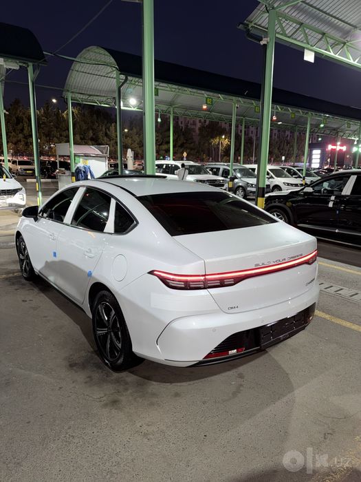 Byd chazor 120 lik