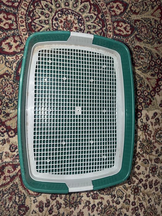 Лоток для котика