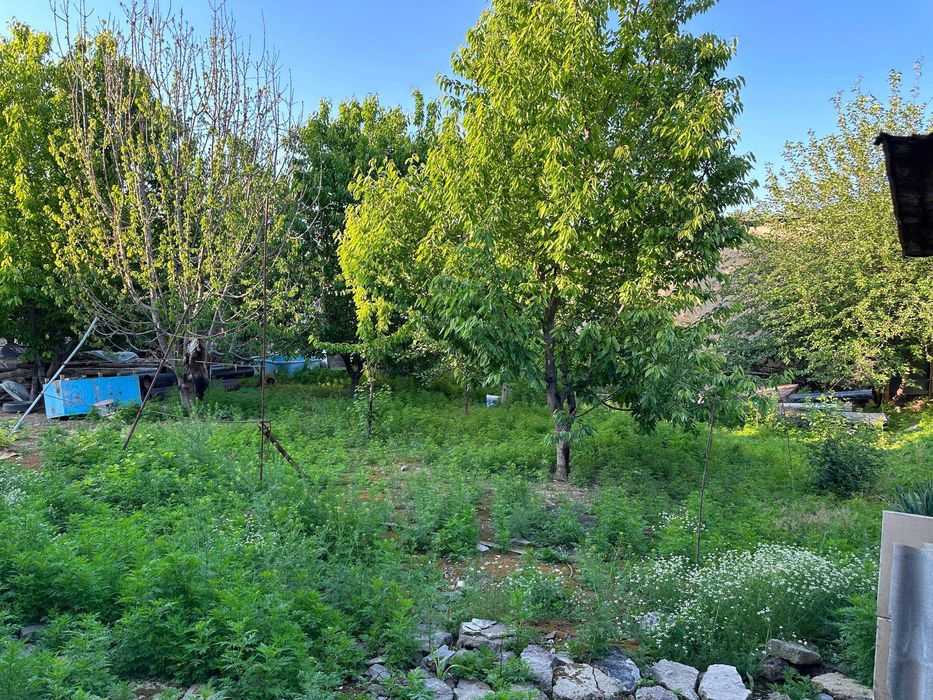 Боз сув Ачисой махалла 6 соток