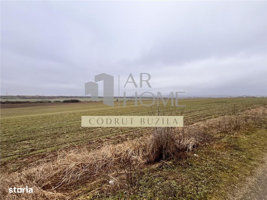 Teren intravilan 4792 mp,  Bucov