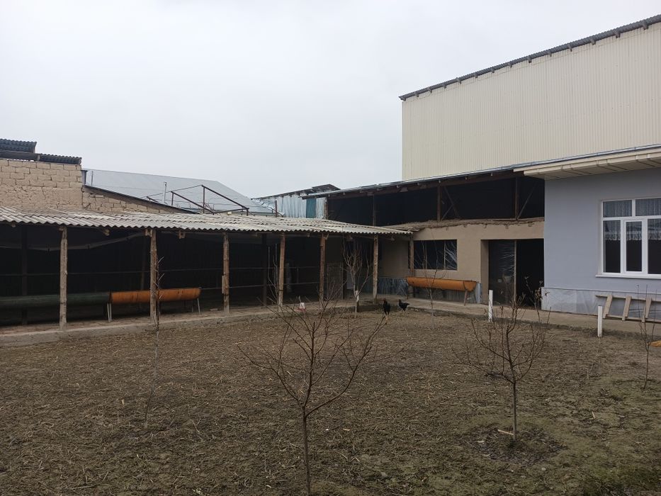 Продам дом самарканд