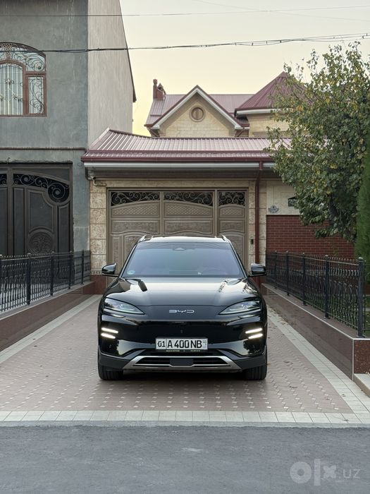 Byd champion 605 tali 2023