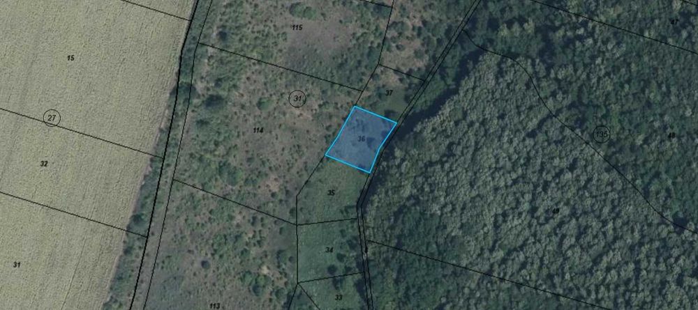 Продава се Парцел в с. Николаево, Област Плевен - 8680 кв.м за 0 €/кв.м - Снимка #6