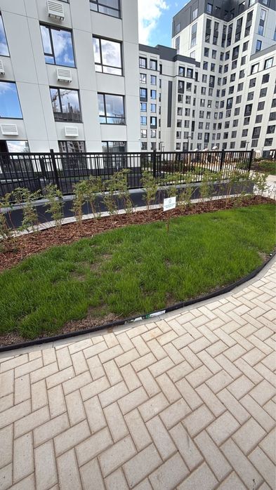 Кустарники, деревья, газон