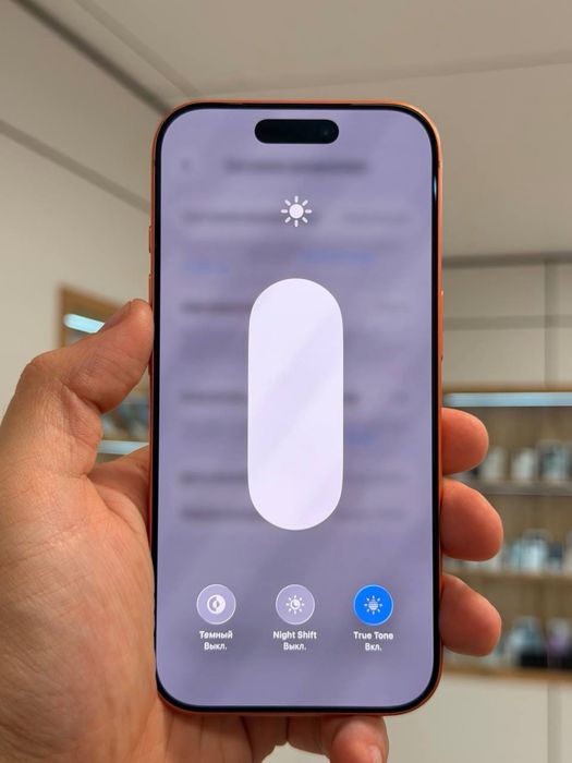 iPhone 17 Pro | 256 GB | E-SIM