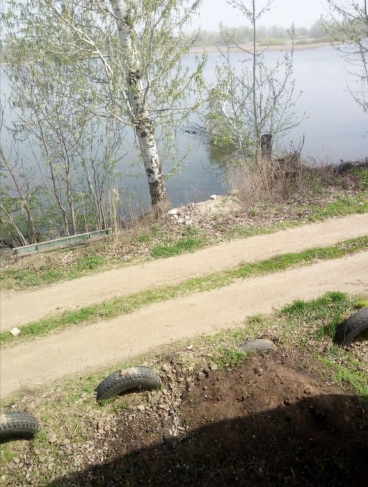 Продам дачу на берегу чагана