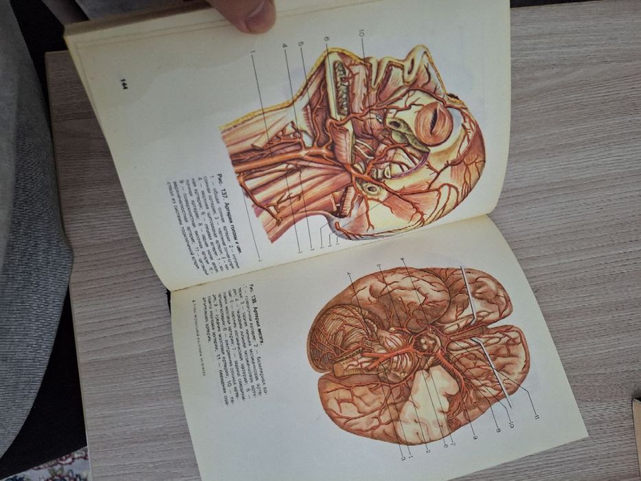 Книга Атлас нормальной анатомии человека