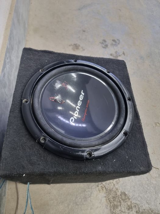 Pioner sambufer sotiladi