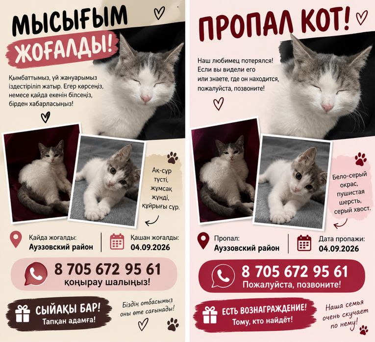Ауэзовский район пропало кот
