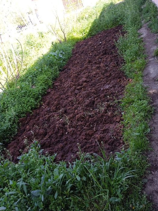 Biogumus-organik chiqindilar va Kaliforniya qizil chuvalchangi sotamiz