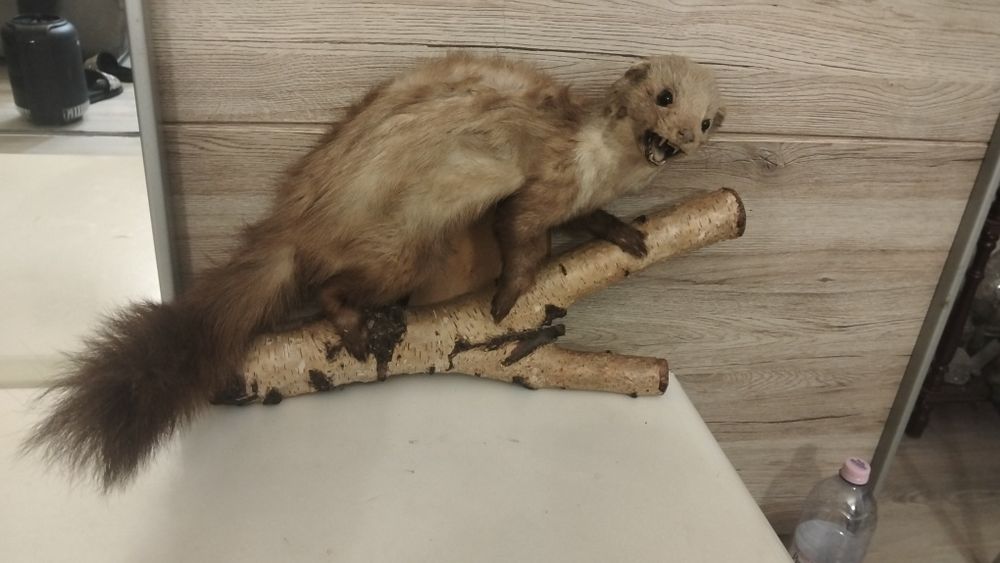 Ornament original dihorr 2 bucăți  perbucata 250 negociabil