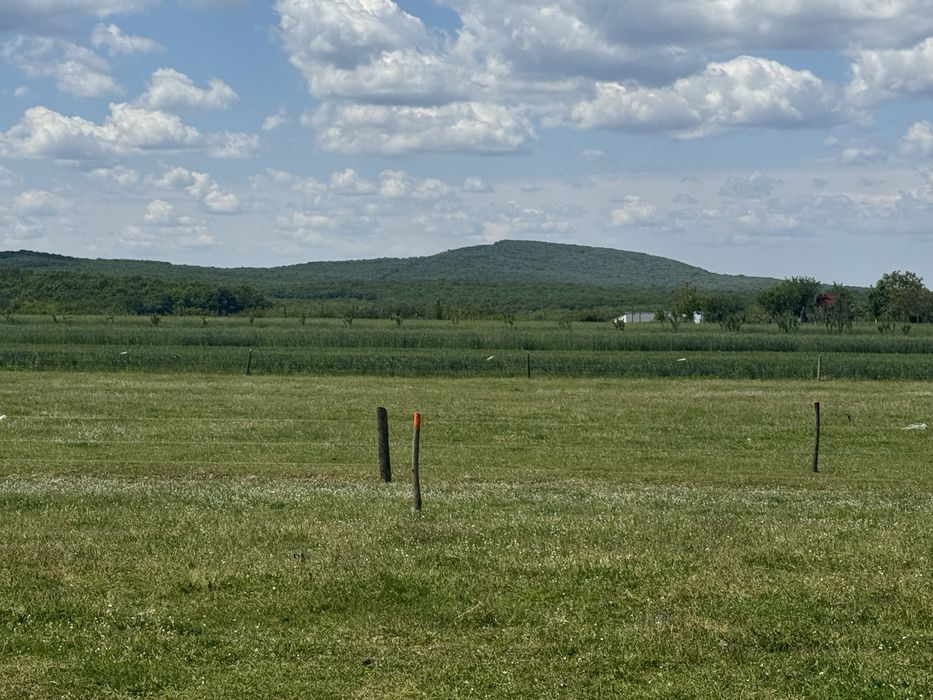 Vand terne pentru locuri  de casa in Felcheiru