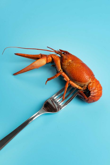 РАКИ живые  | варка беспатно  | доставка по ташкенту