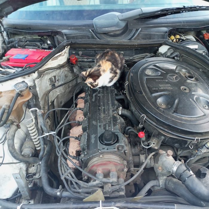 Продам Мерседес 124