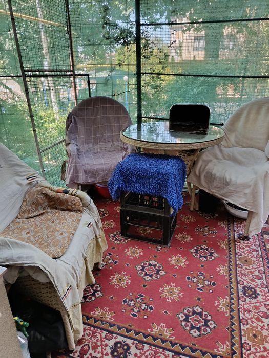 Ищу квартирантов девушек