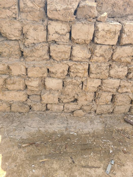 Хом блок сомонли гишт