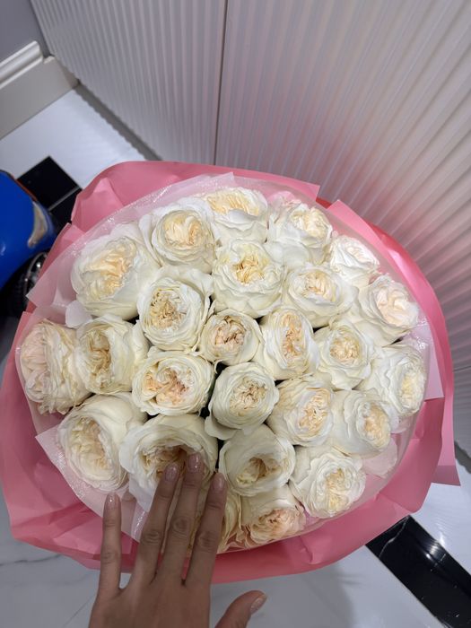 Белые розы свежие