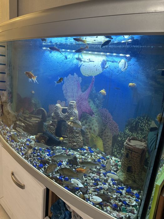 Продам аквариум atman cr-900