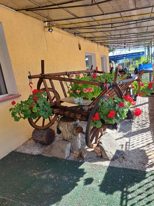 Car rustic decorativ din lemn – ideal pentru grădină sau terasă