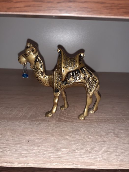 Фигура кон  A.Giannetti