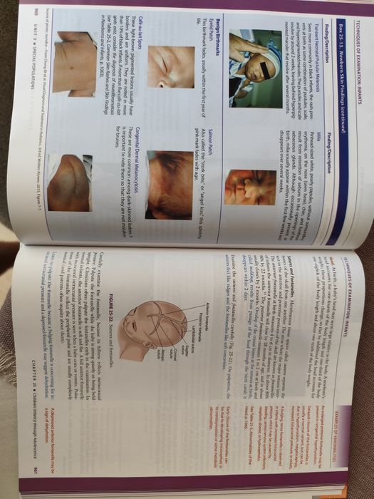 Пропедевтика на вътрешни болести, Physical examination