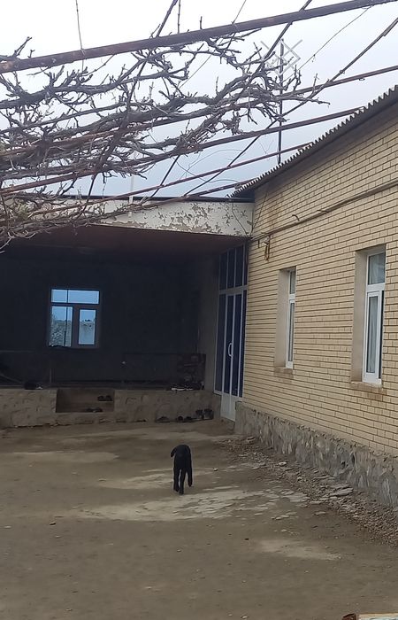 Тайёр ховли жой сотилади 12 сотих